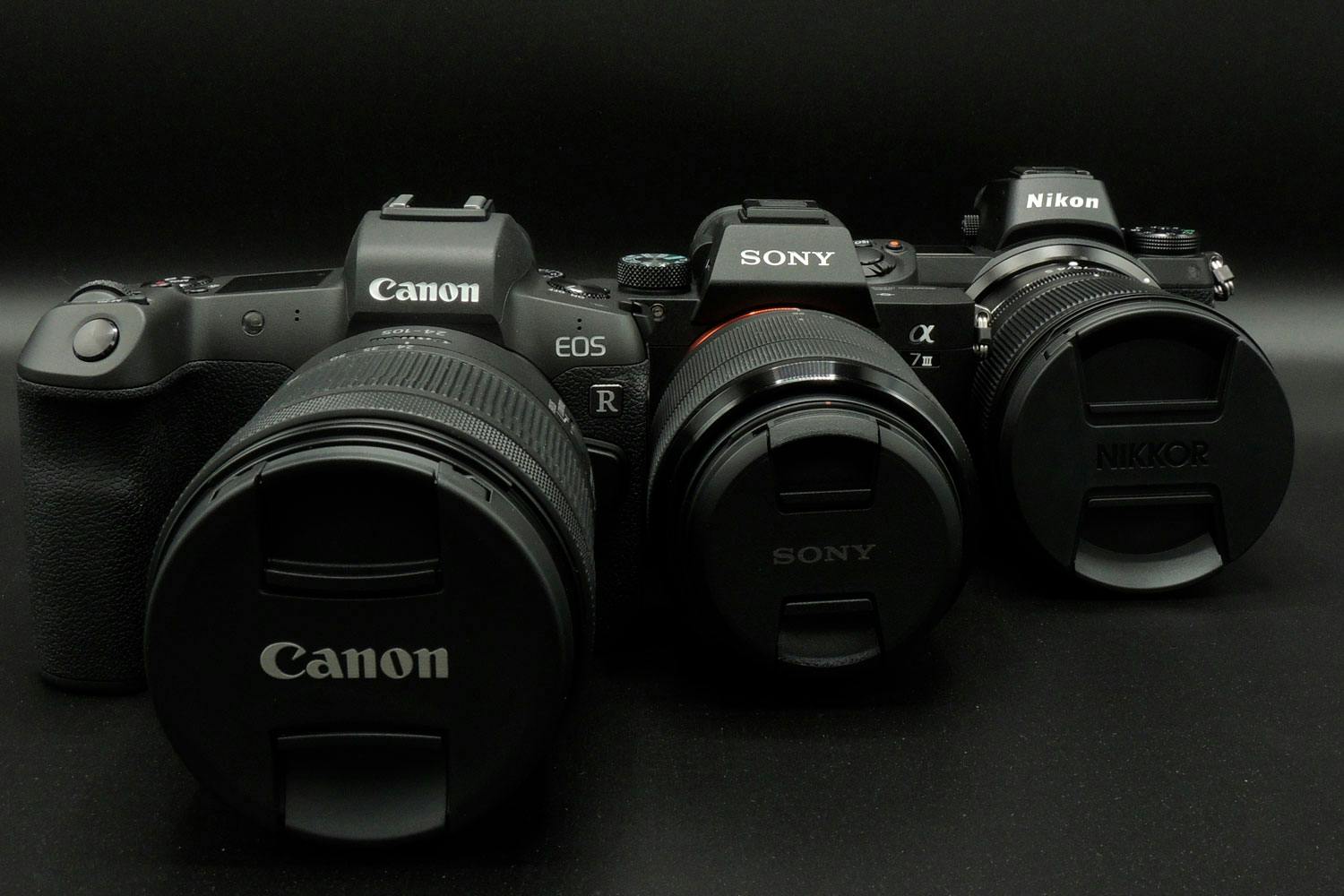 Nikon har en mindre markedsandel end Canon og Sony i dag. Nikon har en mindre markedsandel end Canon og Sony i dag.